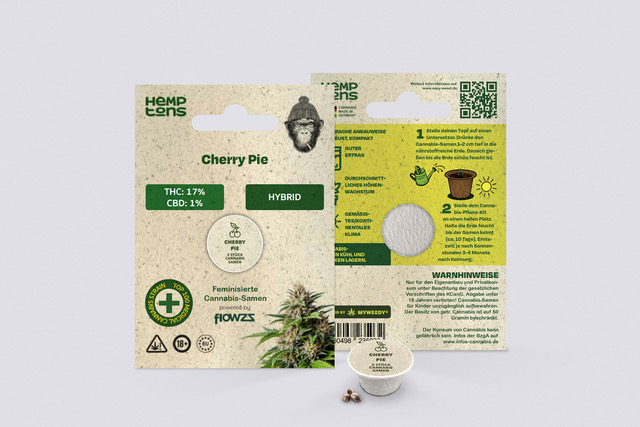 Cherry Pie Cherry Pie