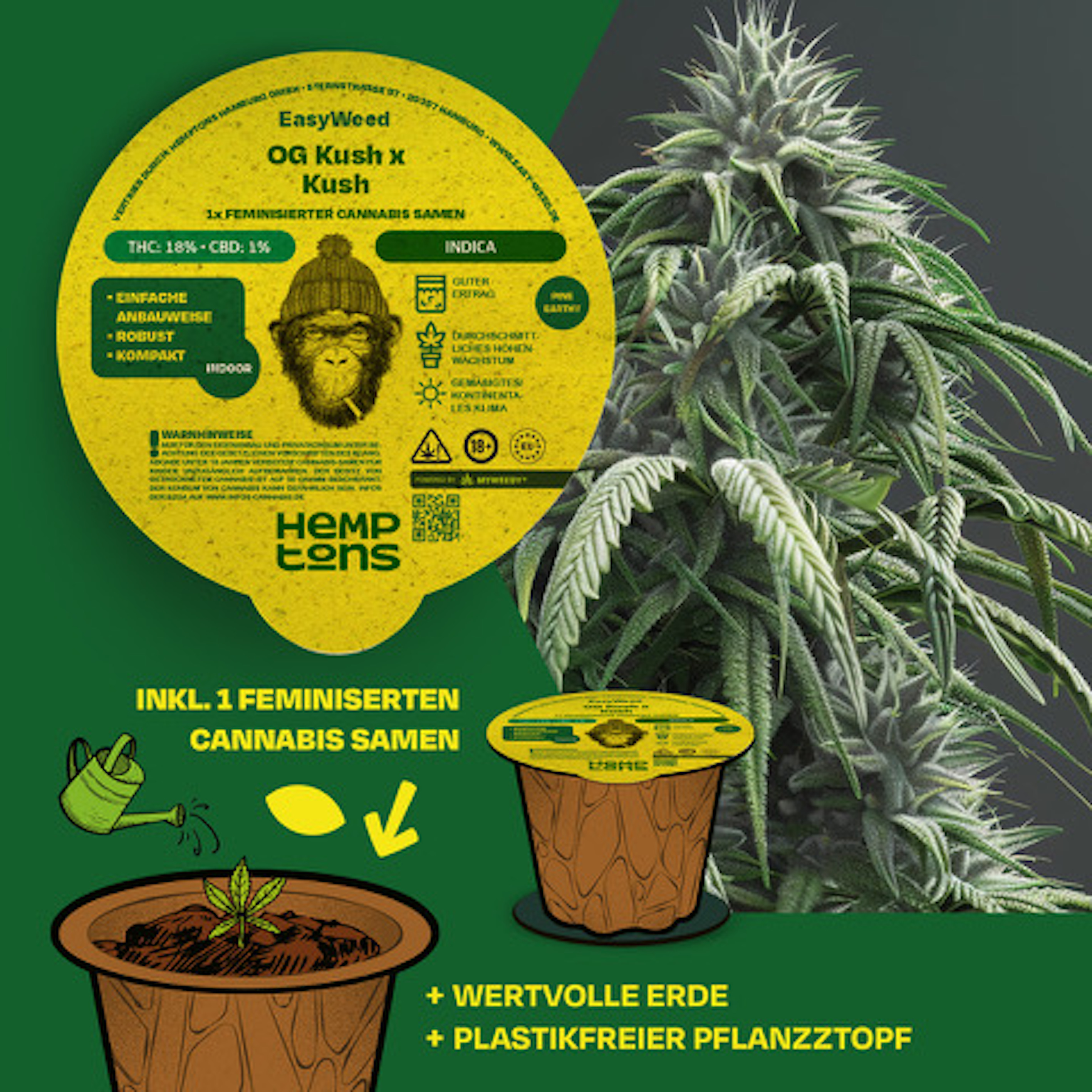 Easy Weed OG Kush Easy Weed OG Kush